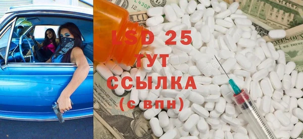 PSILOCYBIN Аркадак