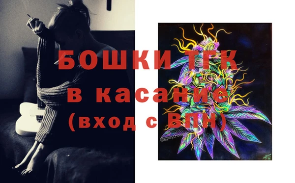 PSILOCYBIN Аркадак