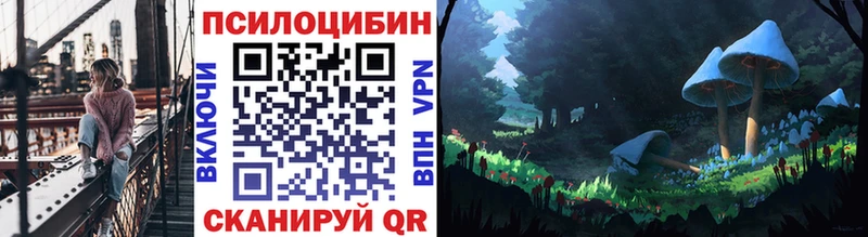 Купить закладки  Няндома  Псилоцибиновые грибы мицелий 